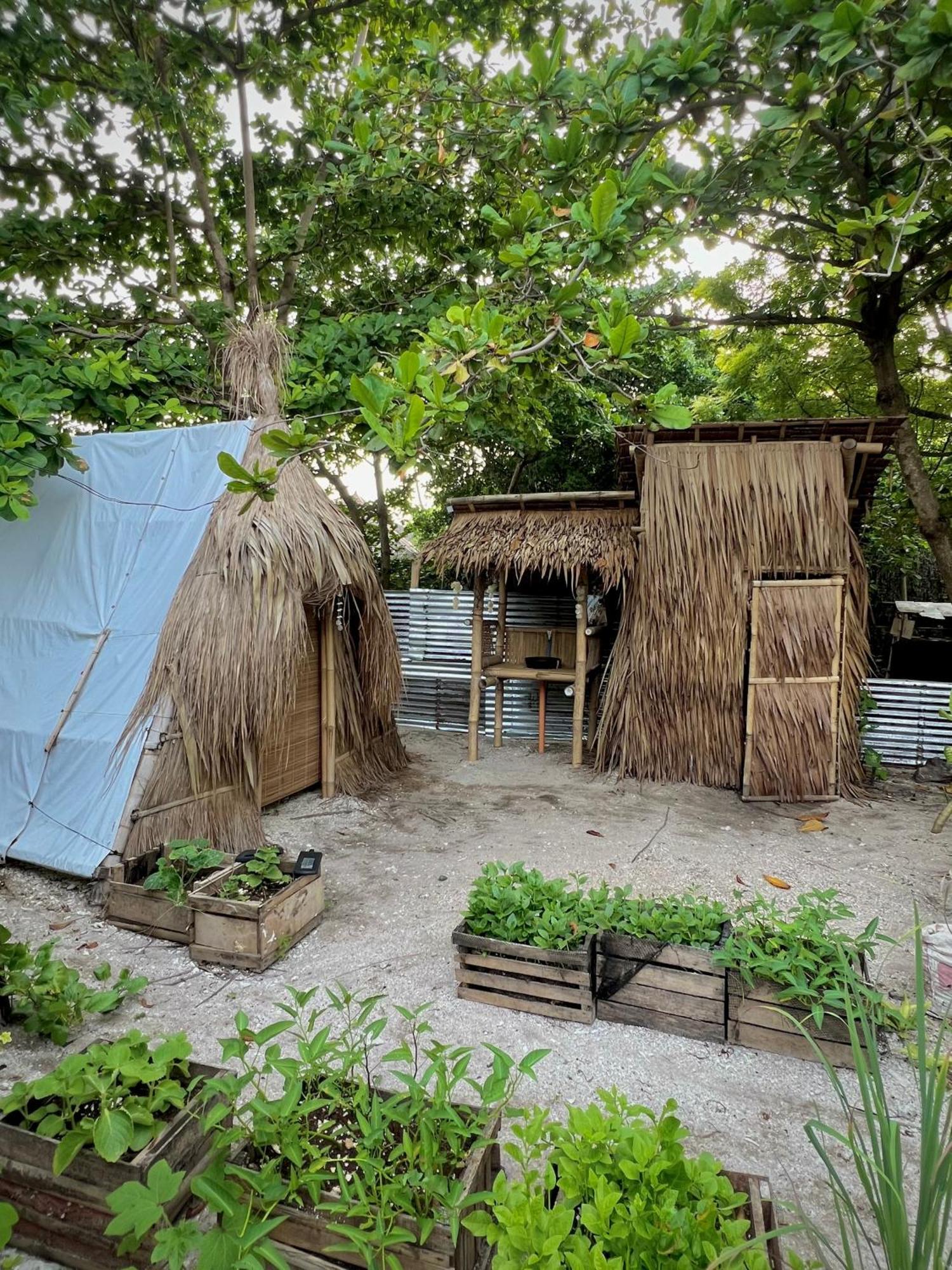 Albergue Tribal Huts Community Daanbantayan Exterior foto